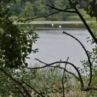 Groß Eichsener See Mühlen Eichsen