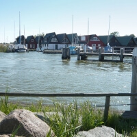  Boddenhafen von Ahrenshoop Althagen
