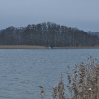 Carwitzer See Feldberger Seenlandschaft