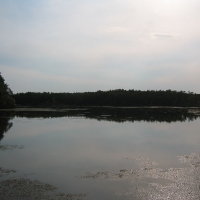 Wrechener See Feldberger Seenlandschaft