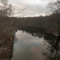 Storkower Kanal Blossiner Fließ Sauwinkel 2