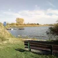 Grüner Teich Tornitz